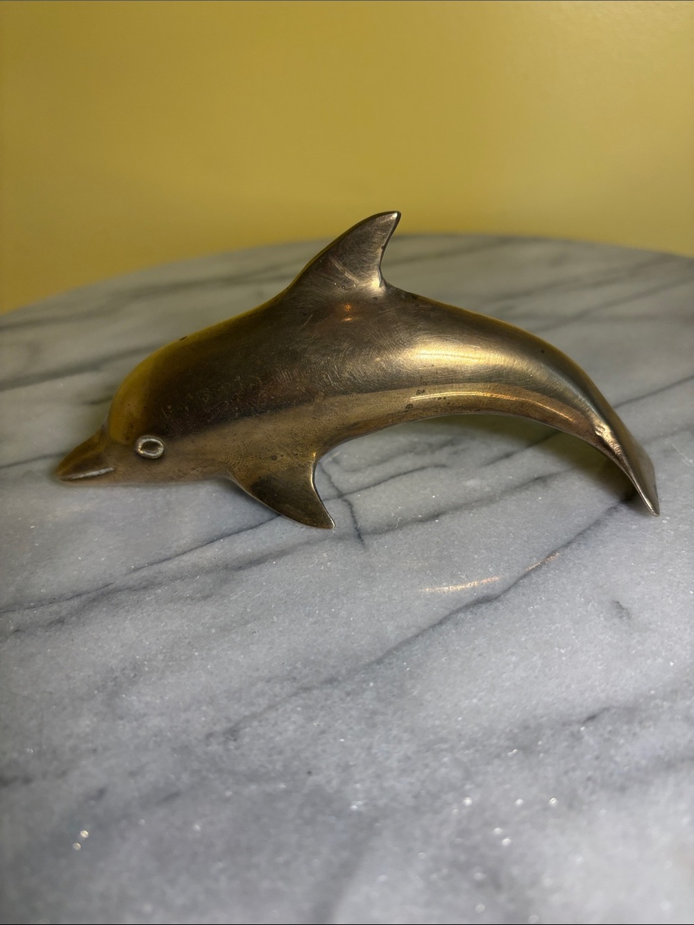 Brass Dolphin Accent